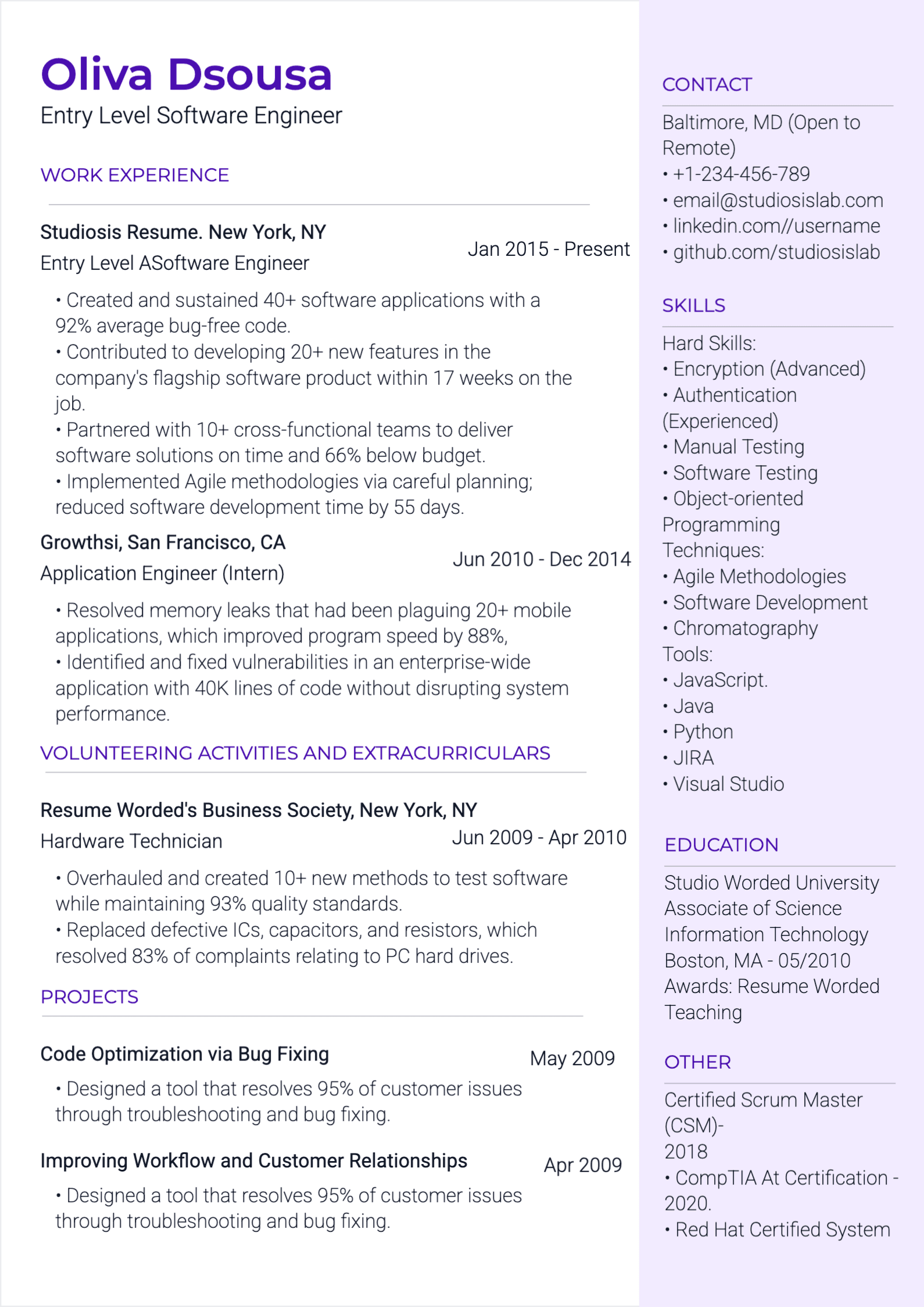 Entry-Level Software Engineer Resume resume template preview