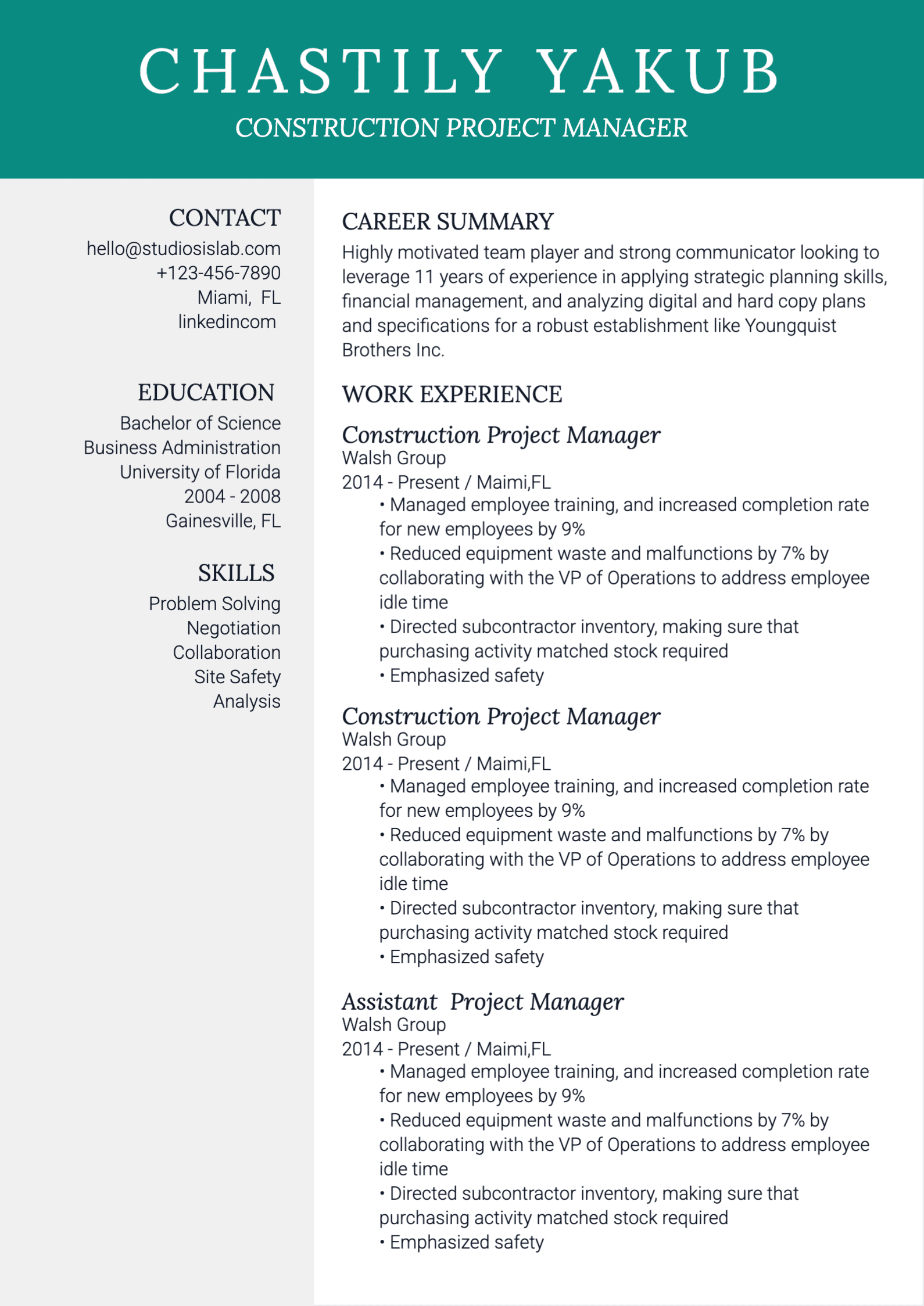Project Manager Resume resume template preview