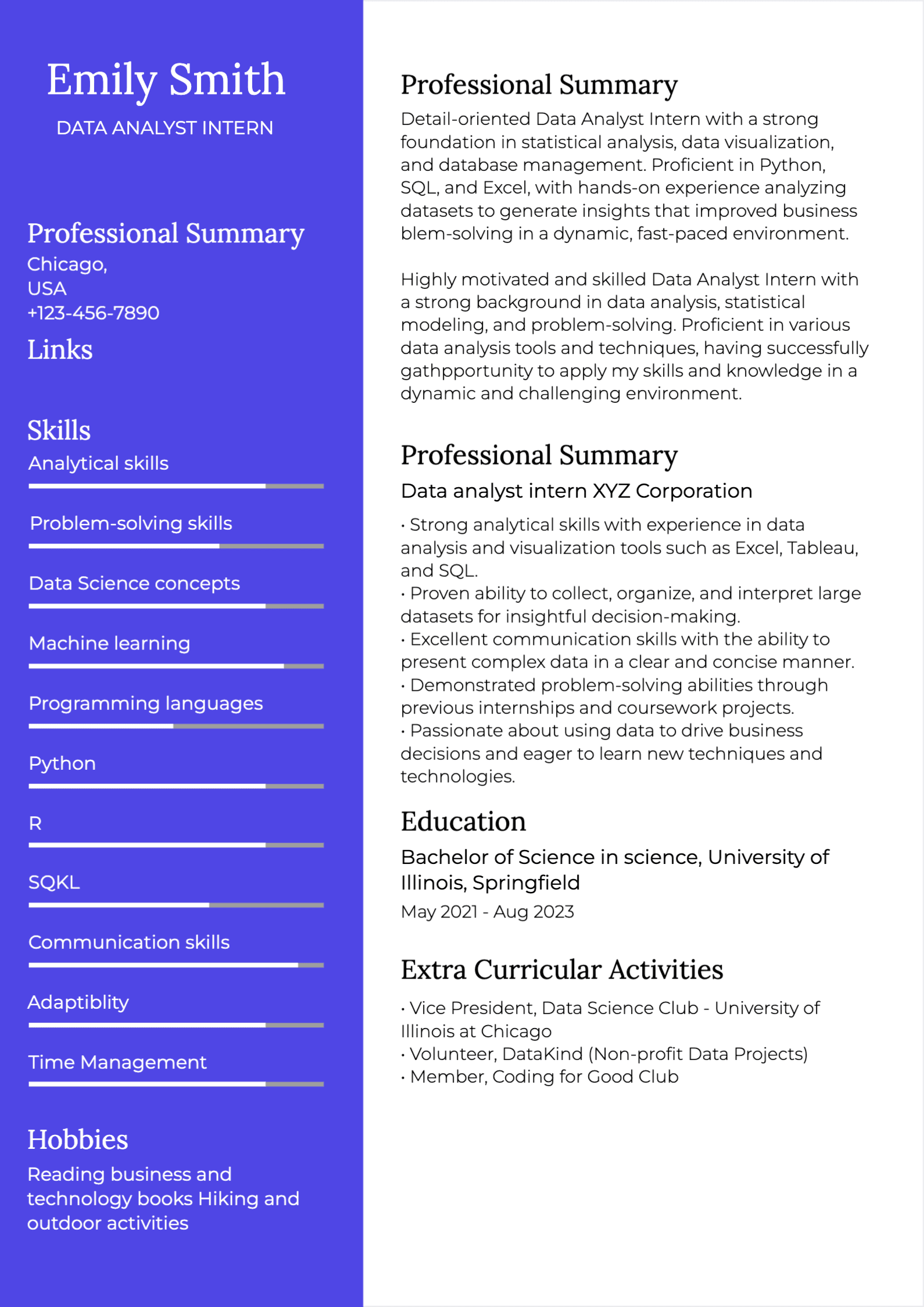 Data Analyst Resume resume template preview