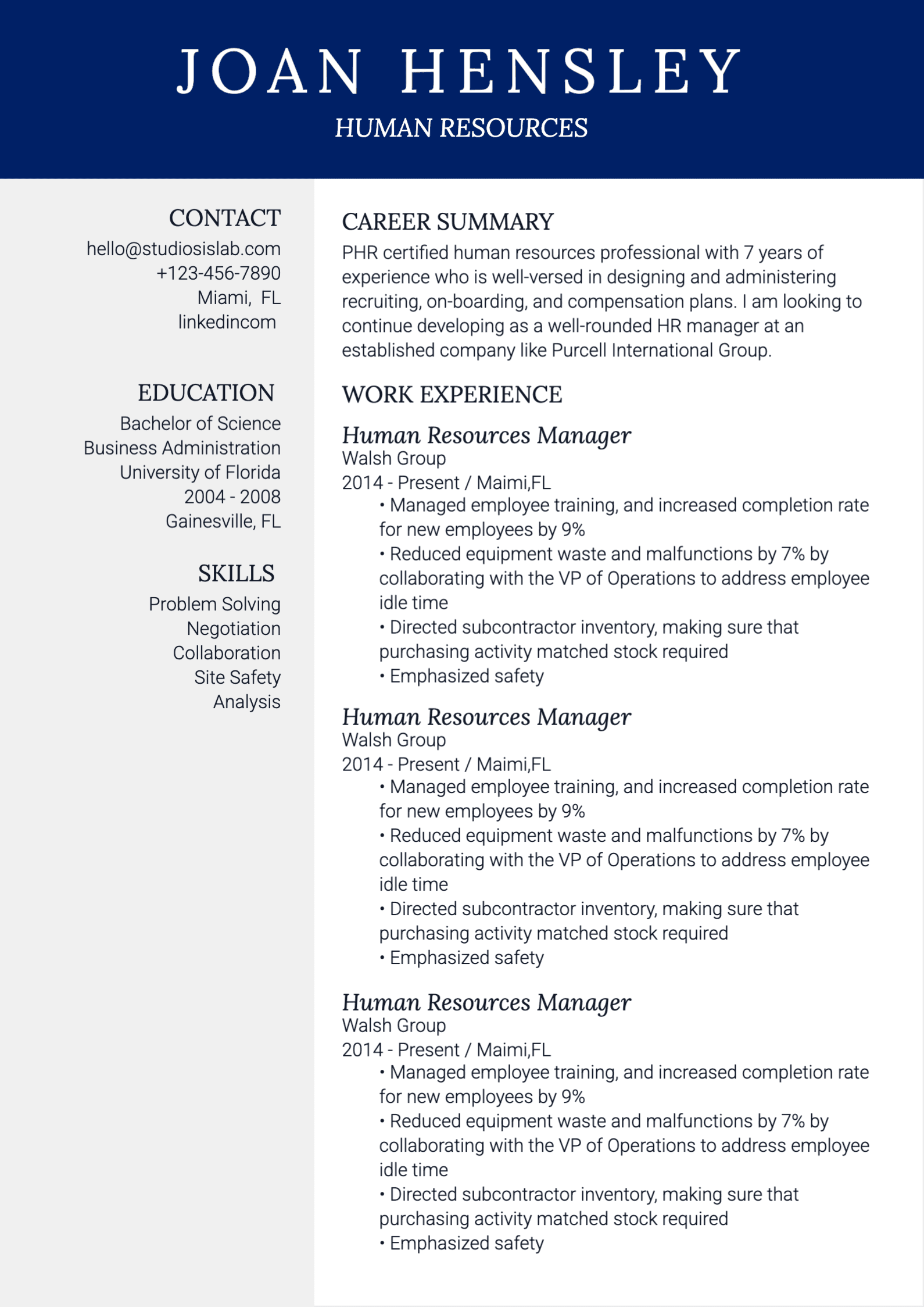 Human Resources Resume resume template preview