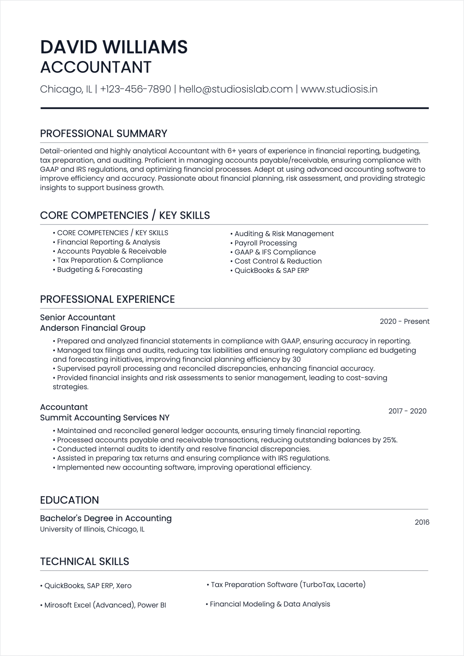 Accountant Resume resume template preview