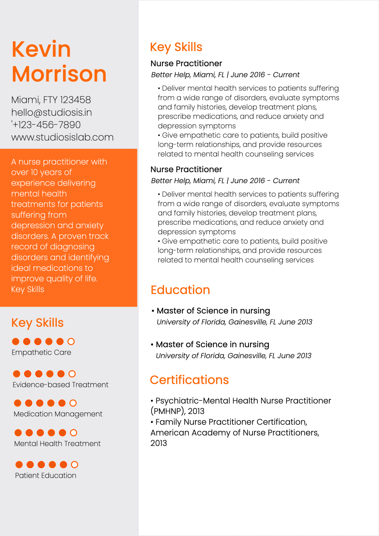Registered Nurse Practitioner Resume resume template preview
