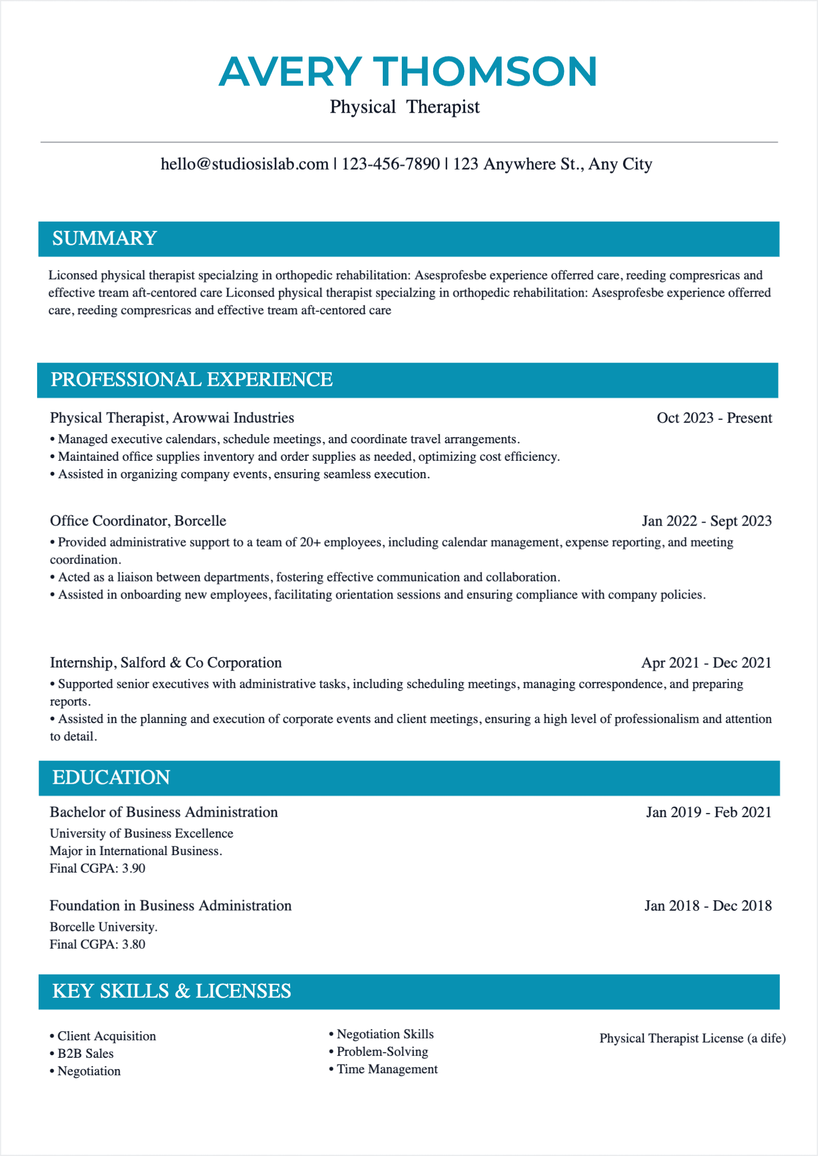 Physical Therapist Resume resume template preview