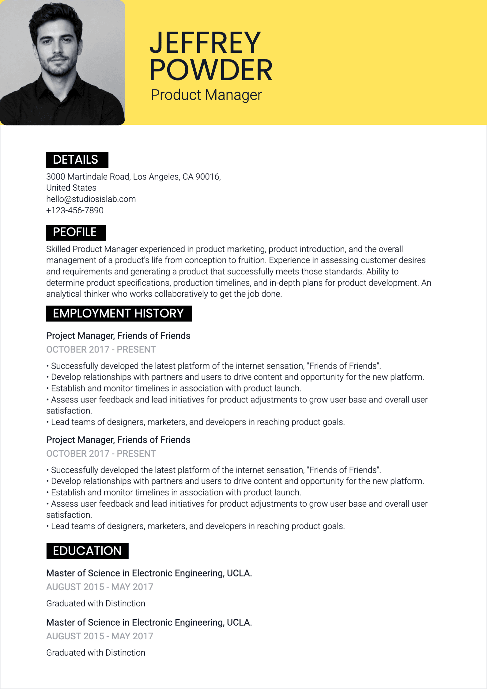 Product Manager Resume resume template preview