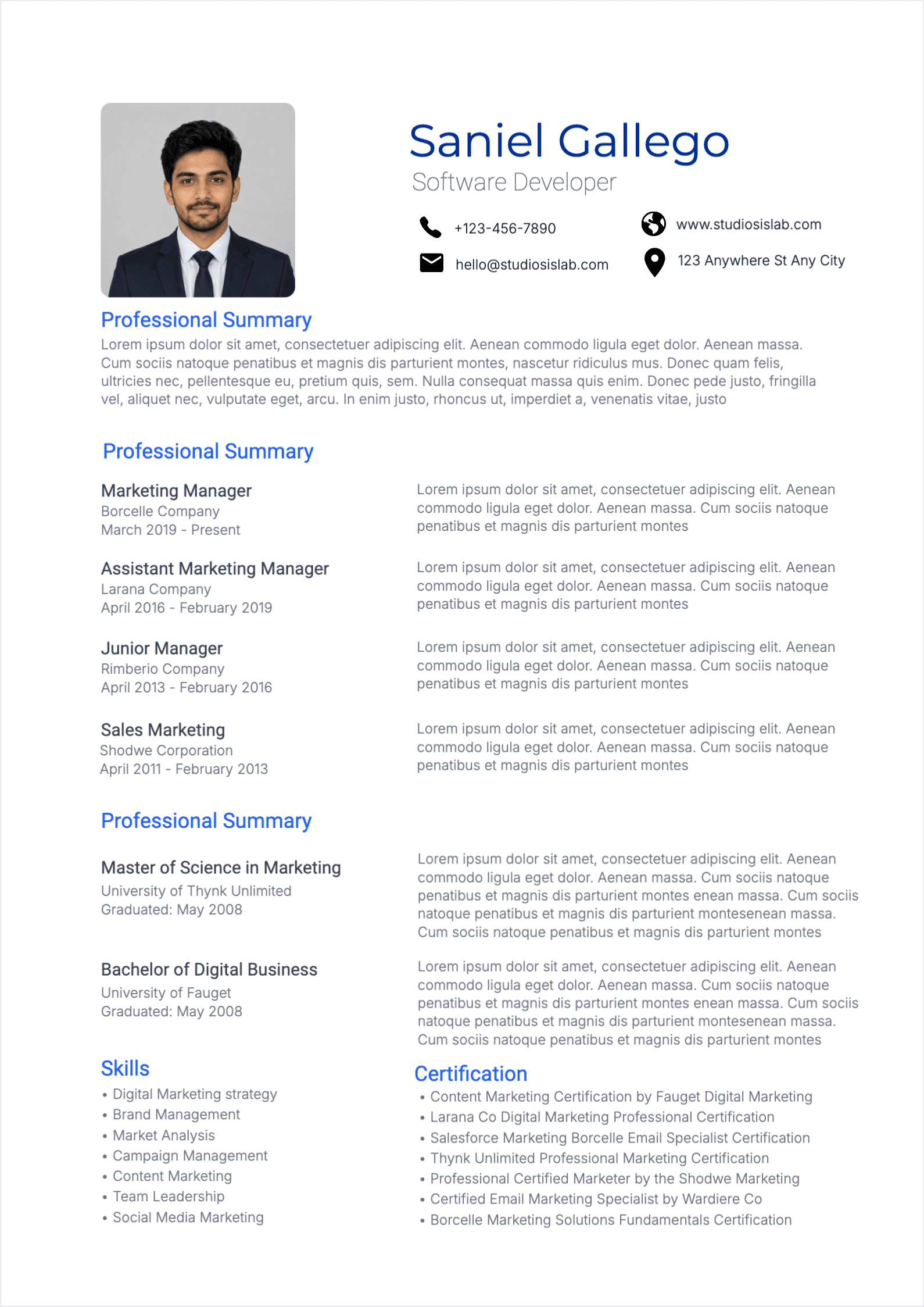 Software Developer Resume resume template preview